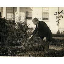 1924 Press Photo California Senator Hiram Johnson on campaign trail - nep09007