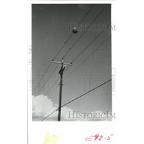 1978 Press Photo Large ball mounted on power lines, Houston Lighting & Power