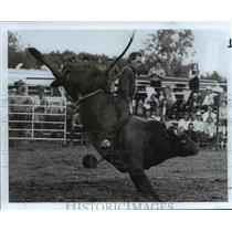 1986 Press Photo 5th Annual Bear Creek, Budweiser World Championship Rodeo