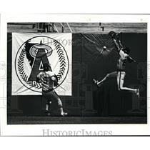 1986 Press Photo Gary Pettis, Brian Downing-baseball action - cvb50650