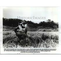 1988 Press Photo Shizue Tomii harvests rice in the Uonuma district in Japan