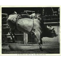 1980 Press Photo Bull Rider Roy Carter from Crockett, Texas, Falling at Rodeo