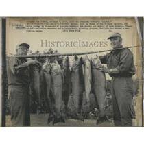 1975 Press Photo Salmon From Chinook River And Lake Ontario
