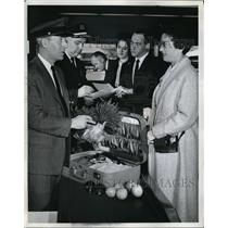 1965 Press Photo Customs inspection at Kennedy Intl airport