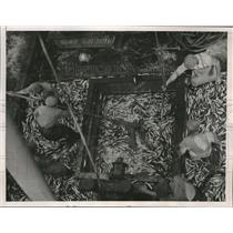 1936 Press Photo Fishermen Unload Fishy Cargo Off The California Coast