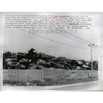 1956 Press Photo of an automobile salvage yard in Independence, Iowa.