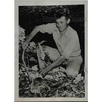 1937 Press Photo George Self trapper Chattahoochee Forest 7 a wildcat