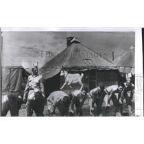 1941 "Bucky" Goat Mascot Second Battalion Press Photo