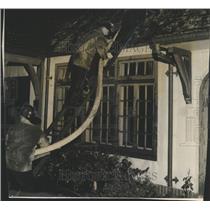 1946 Press Photo Firemen Ladder Fire Hose House