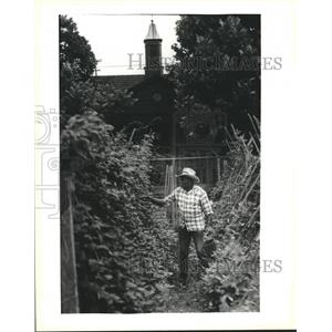 1995 Press Photo Clifton Haywood picks beans in Community Garden ...