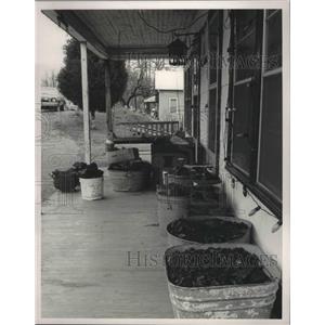 1987 Press Photo Coal on Porch of House in North Johns, Alabama - abna38653