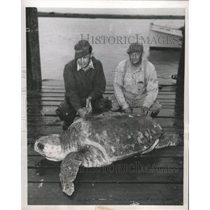 1953 Press Photo Captain Jim Beebe loggerhead turtle - RRW34235