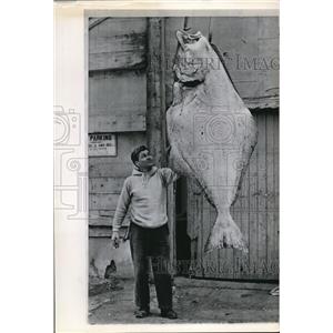 1965 Wire Photo Herbie Dubois with the 40 pounds halibut he caught - cvw09246