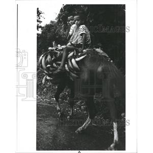 1985 Press Photo Children Horseback Dominican Republic
