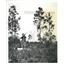 1961 Press Photo sunny Florida glass Pheasant wizened - RRX88521