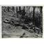 1940 Press Photo Car Crash Wreckage Over Embankment, Athens Ohio - nee02968