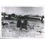 1960 Press Photo NW Airlines Electra Wreckage