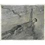 1959 Press Photo L.B. Schaefer Pan American Swimmer - RRW52187