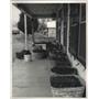 1987 Press Photo Coal on Porch of House in North Johns, Alabama - abna38653