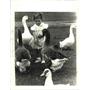 1986 Press Photo Victoria McRoberts feeds the duck and geese at Lafreniere Park