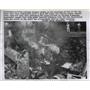 1957 Press Photo Wreckage of a Navy F5H Demon jet fighter plane crash