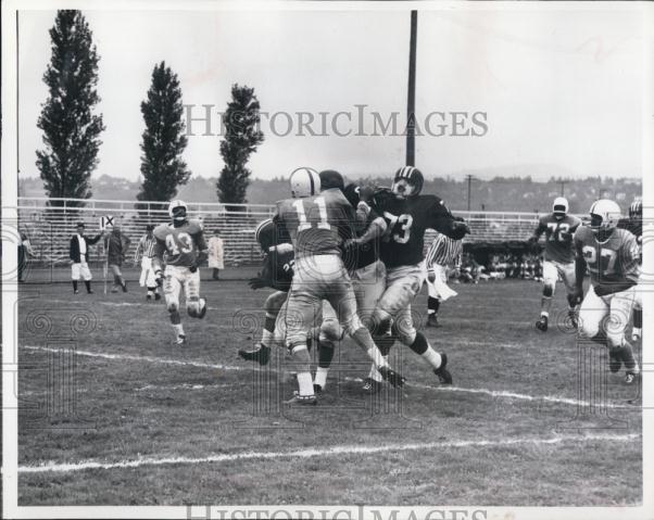 Image1