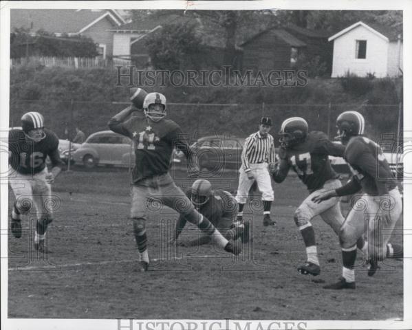 Image1