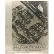 1963 Press Photo Ralph Carlson Snowshoes Meteorologist - RRT38857