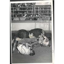 1958 Press Photo Jessie Jones and other wresting cattle at Rodeo - hca03259