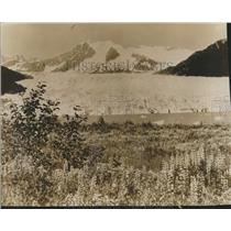 1940 Press Photo Alaska Landscape-Fields of Flowers Watered by Glaciers