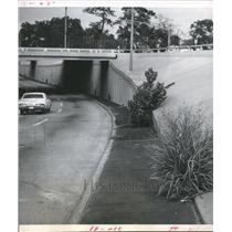1970 Press Photo Allen Parkway with giant weeks, Freeways-Houston - hca05436