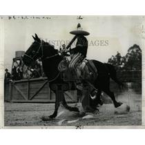 1940 Press Photo Rider Horse Steer Tailing Exhibit