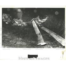 1978 Press Photo Airplane Wreckage After Crash in Alabama - abna10223