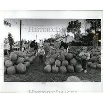 1988 Press Photo Pumpkins Family Children Farm - RRW03157