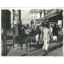 1942 Press Photo Bull roams unmolested in Calcutta - RRX83693