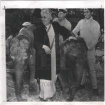 1950 Press Photo Madame Vijaya Pandit Gifts Elephants - RRX87313