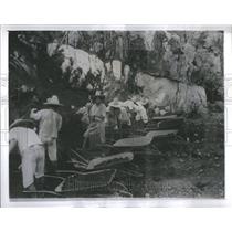 1900's Press Photo Pan Amrican Highway