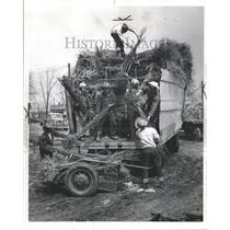 1943 Press Photo Farmers Load Fruit Tress In Trucks