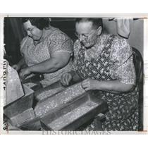 1943 Press Photo Navy Bean Sorting Housewives