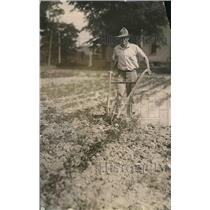 1918 Press Photo Gardening