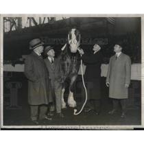 1927 Press Photo Secretary Of Agriculture Jardine With Horse At Livestock Expo