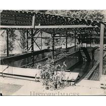 1923 Press Photo Nursery ponds at a fish hatchery