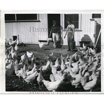 1942 Press Photo Ruth & Agnes Bridgeland Gather Eggs and Feed Hens on Farm