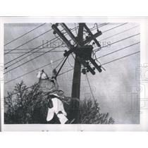 1952 Press Photo A telephone man tries to fix the Iowa lines