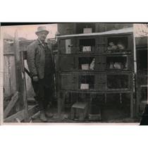 1918 Press Photo Harry McGee & his rabbitt hutches Berkeley
