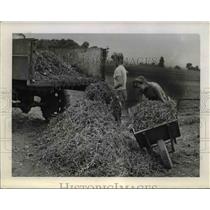 1943 Press Photo Rose Marie Jankowski and Wanda Jankowski Farming - nee00118