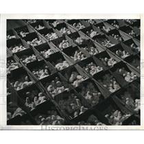 1942 Press Photo The Chicks farm incubators
