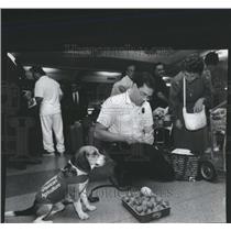 1989 Press Photo O'Hare International Airport security