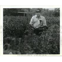 1993 Press Photo St. Bernard Farms - Johnny Gallo, Jr., Kenilworth, Louisiana
