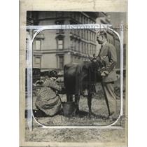 1929 Press Photo Mrs Irving Bastian of Clyde, Ohio Milks Cow - neo08989